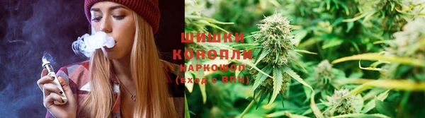 стаф Абаза